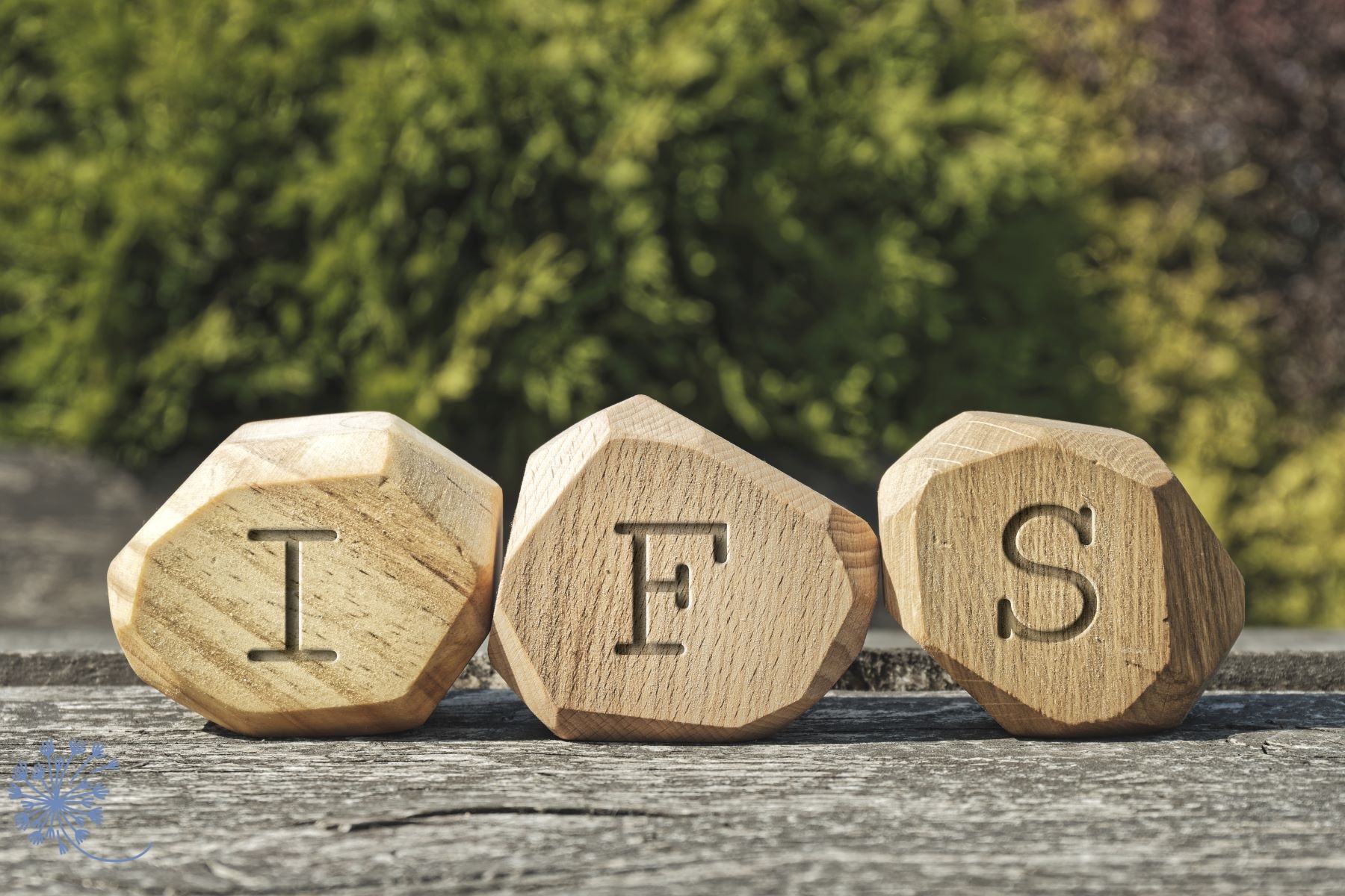 IFS blocks on a rock