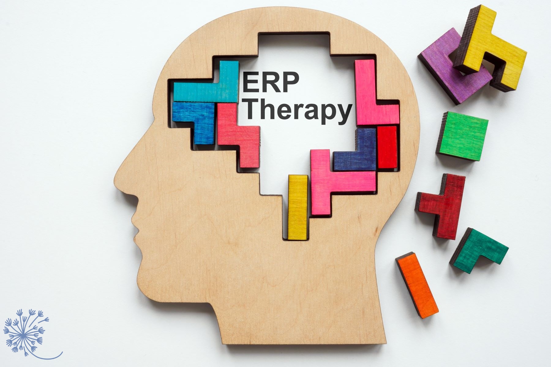 ERP Therapy